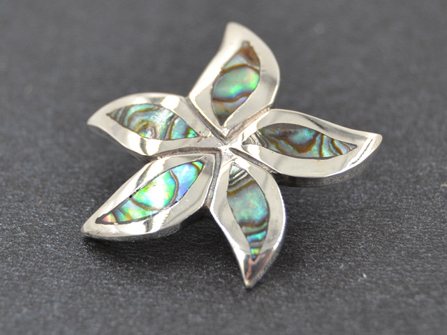 Anhänger Seestern(abalone)