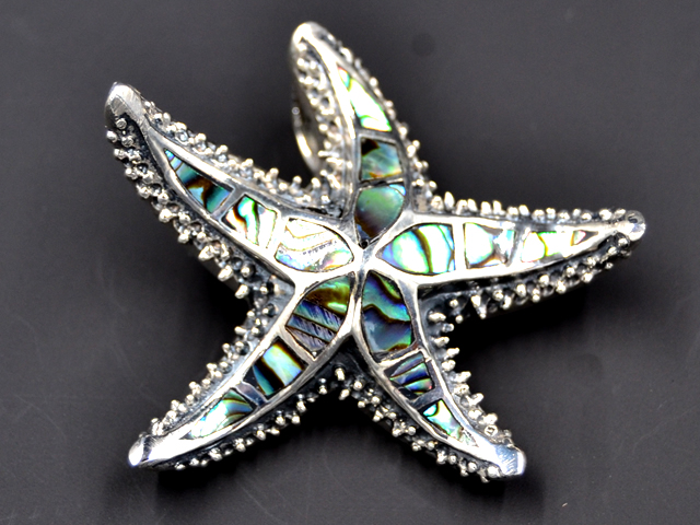 Anhänger Seestern(abalone)