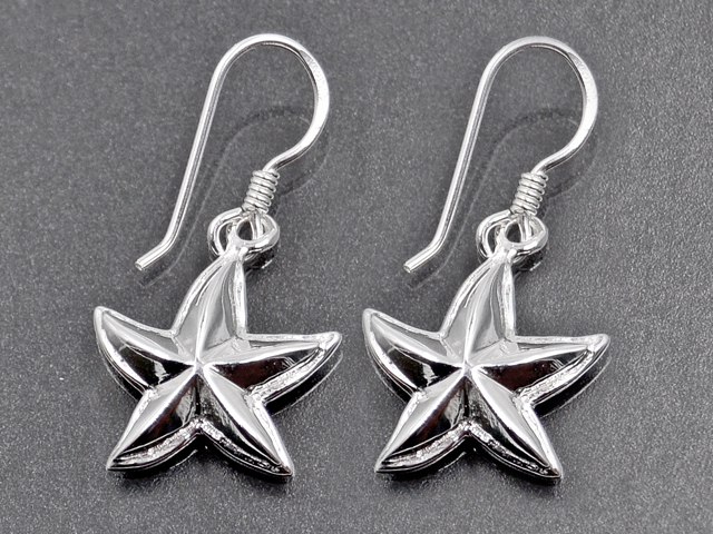 Ohrhänger Seestern